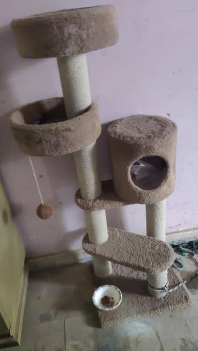 Cat Tree House