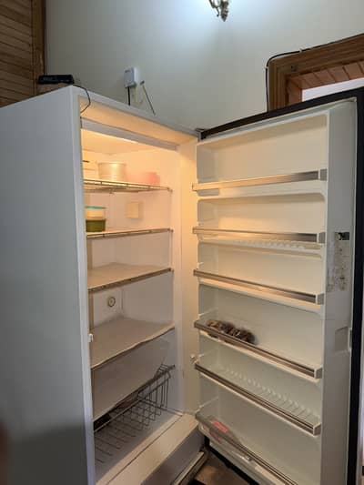 FREEZER VERTICLE