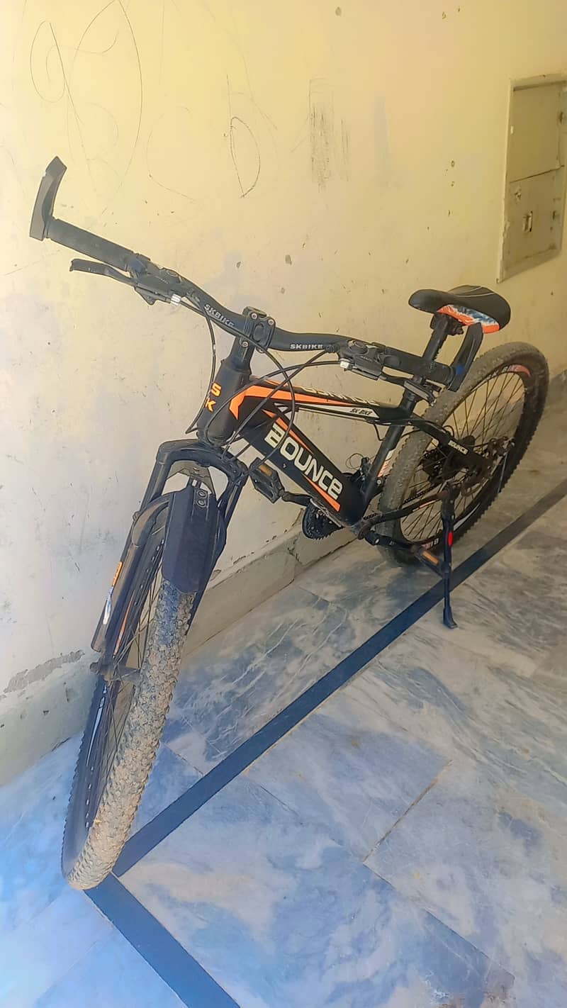 Bicycle 2