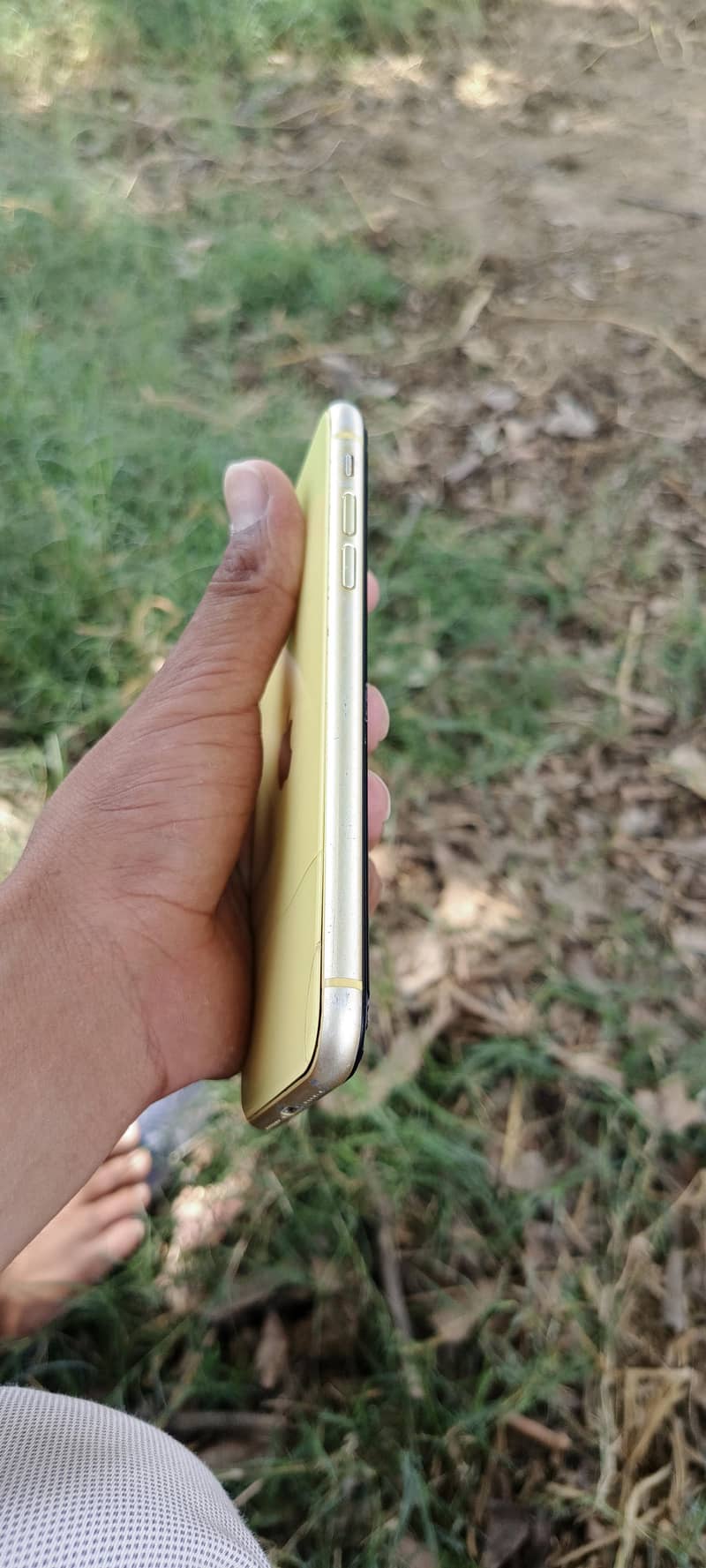 Apple iPhone 11 1