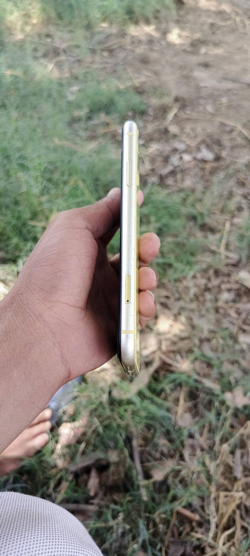 Apple iPhone 11 3
