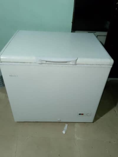 New candishan10 9