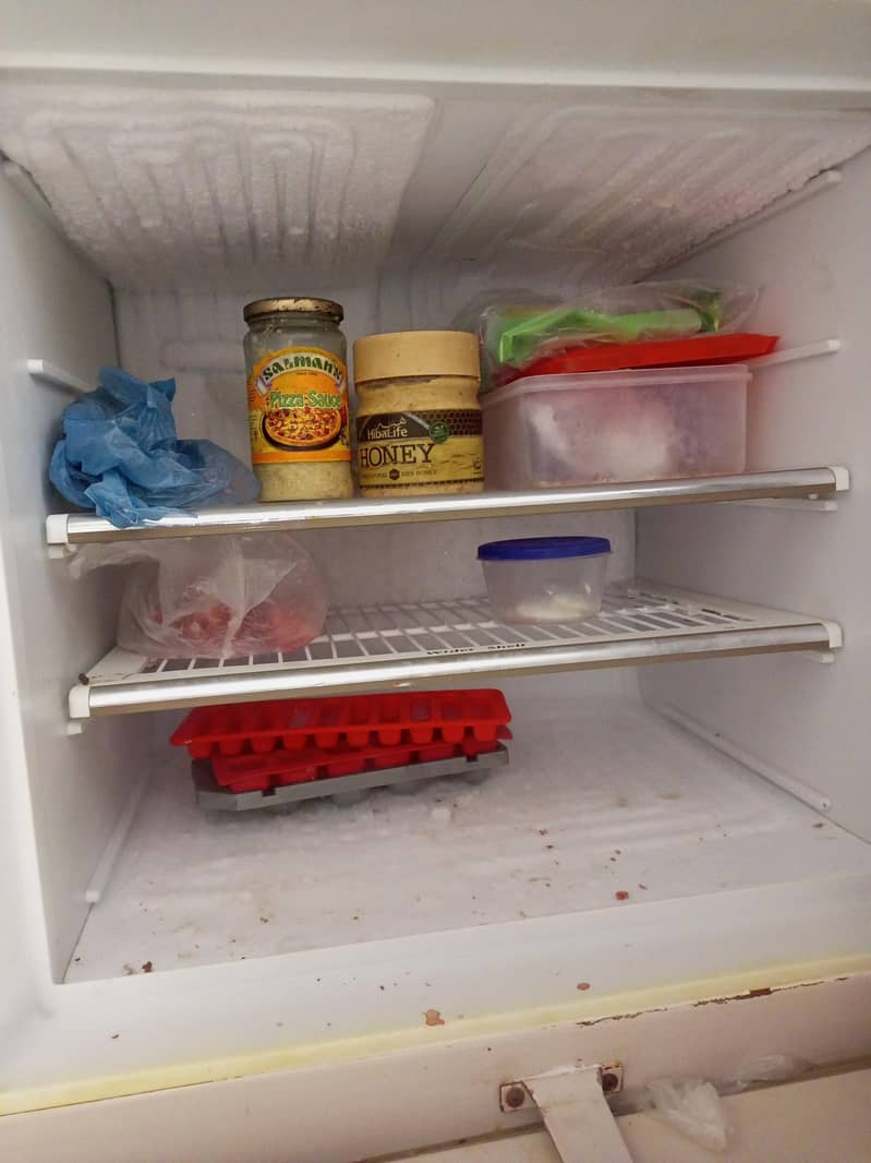 fridge 1