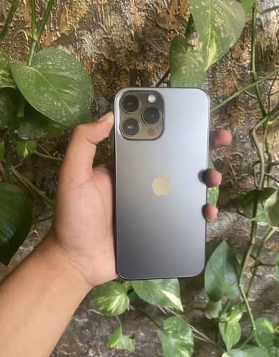 iPhone 13 Pro Max