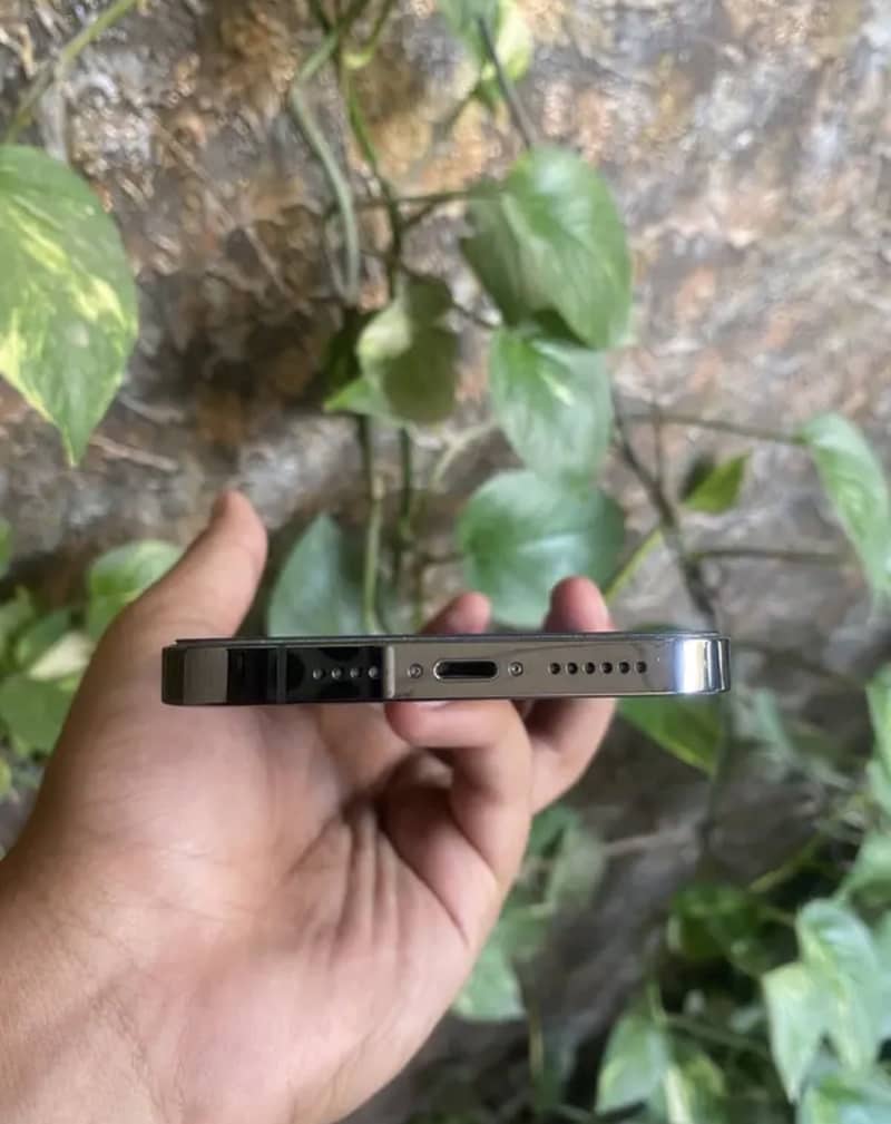 iPhone 13 Pro Max 1