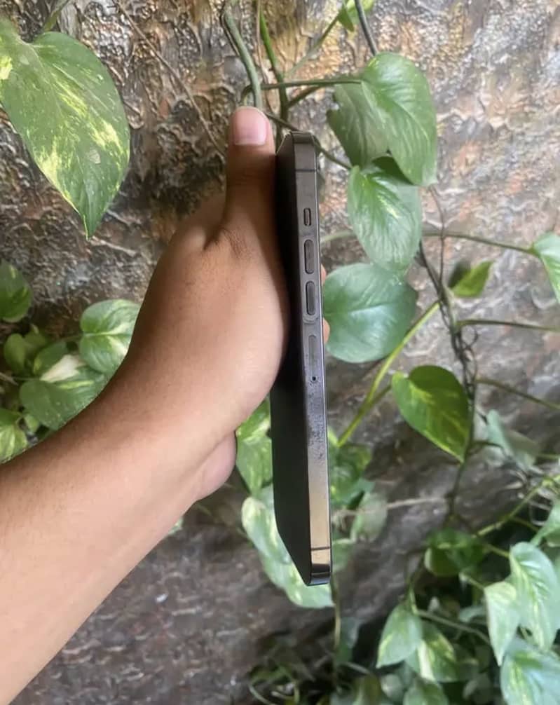 iPhone 13 Pro Max 3