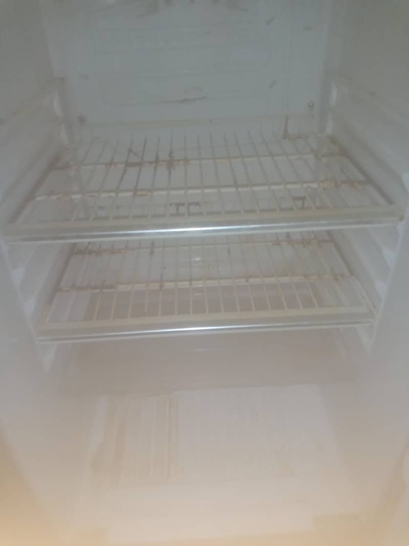 waves fridge 2