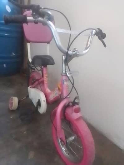 baby cicel