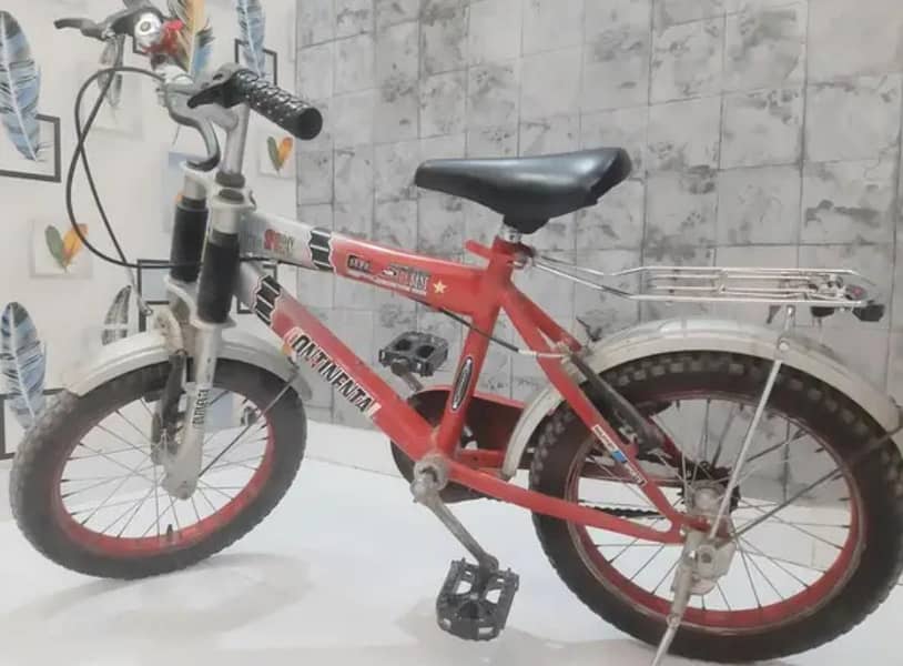 Bicycle 16 Size 0
