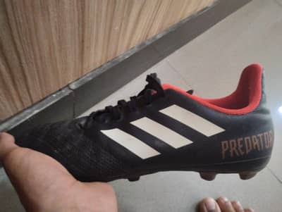 Adidas predator for sale