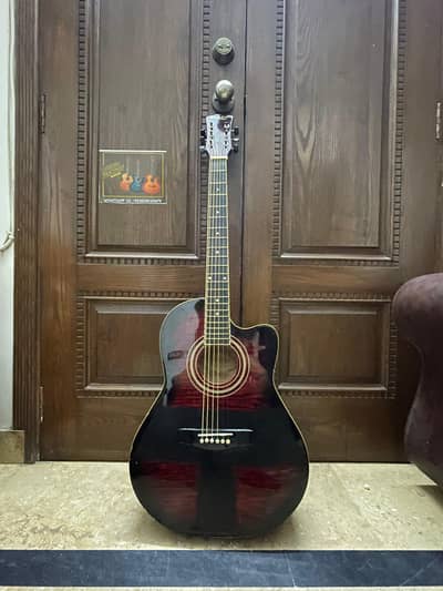 Acoustic guitar profession best sound