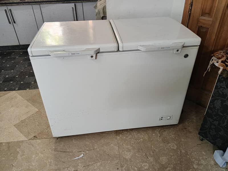 deep freezer 1