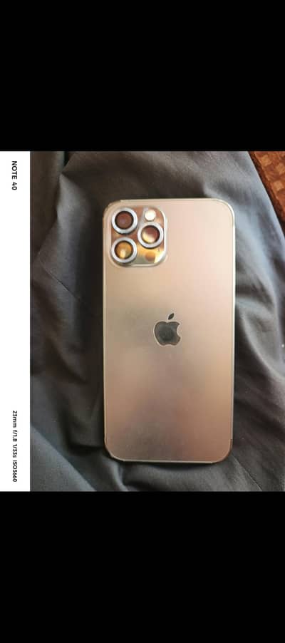 Apple iPhone 12 Pro Max