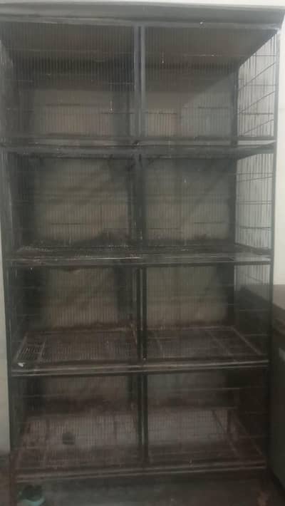 beautiful love bird for cage for sale | cage pets"bird parrot