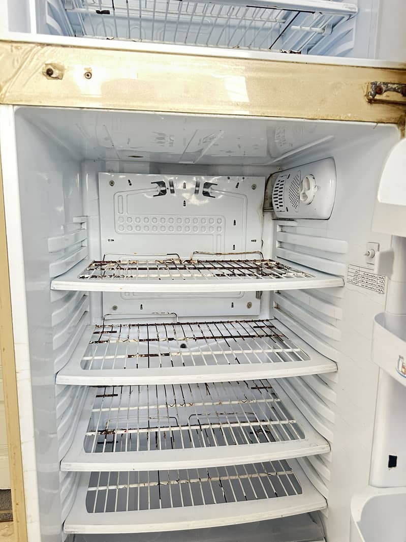 Fridge 1