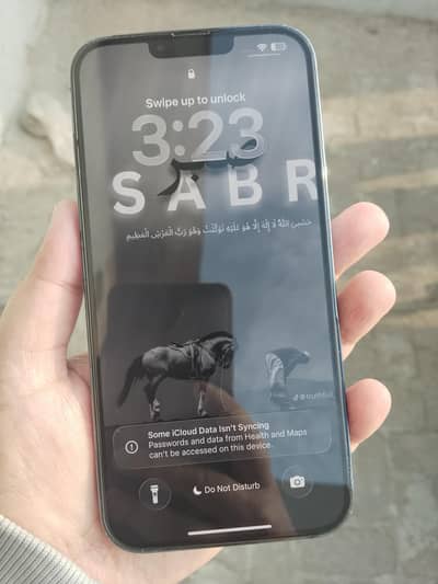 Apple iPhone 13 Pro Max