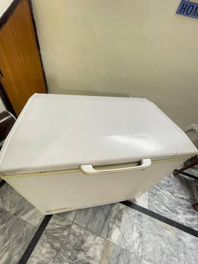 deep freezer (03248468747)