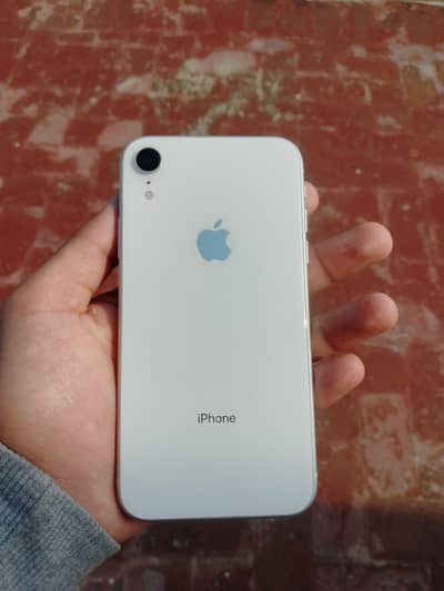 iPhone xr