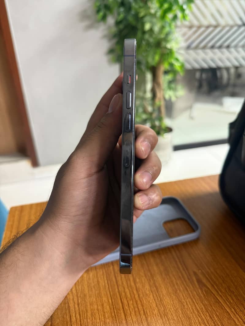 iPhone 13 Pro Max 1