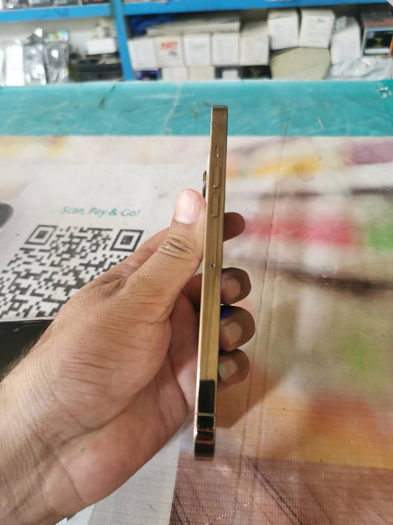 iPhone 13 pro max 1