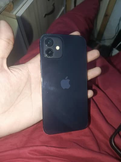 Apple iPhone 12