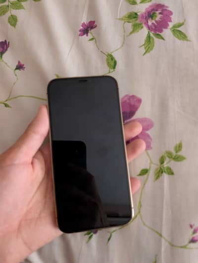 Iphone 12 pro pta approved