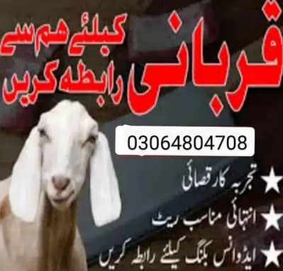 Qurbani ka Bakra Ham Sa Zibah karwain
