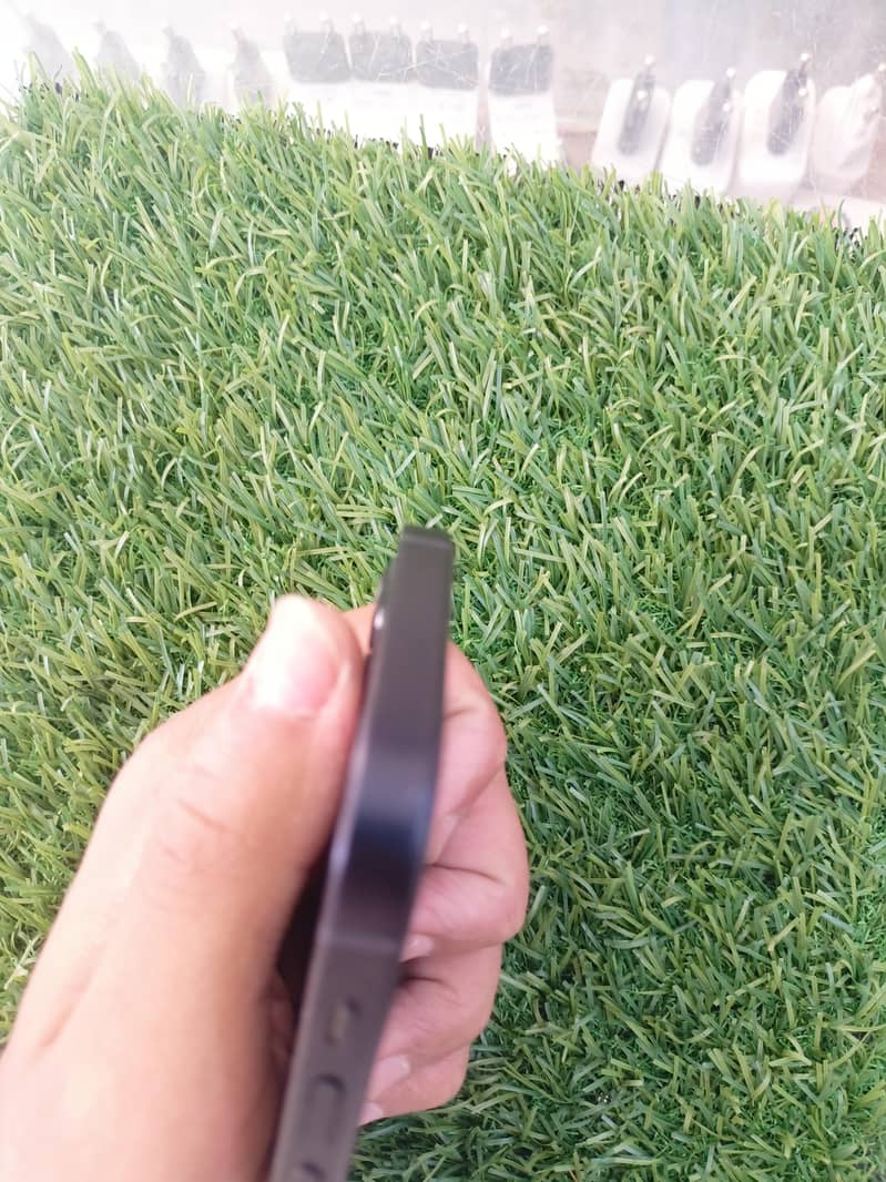 lush  condition 4