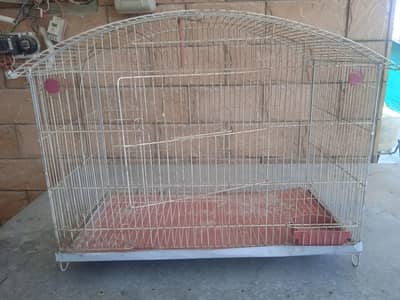 Large Wire Parrot Cage (Bird Pinjra) with Feeder Tray