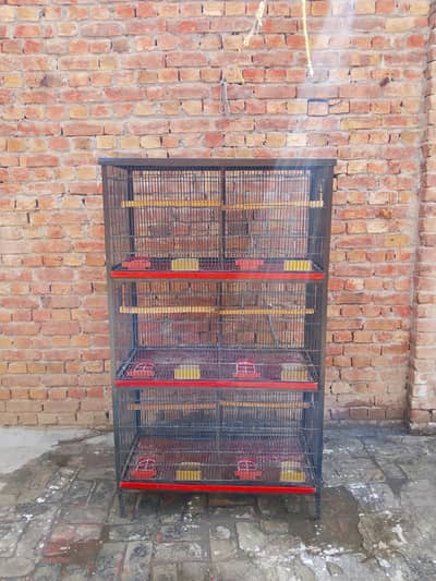 cage for birds