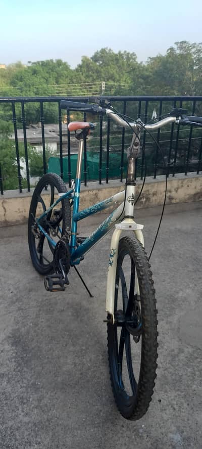 sport cycle  important