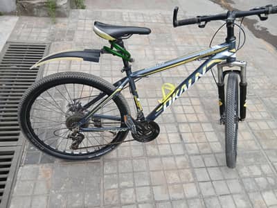 Dkaln Germany mountain bicycle for sale