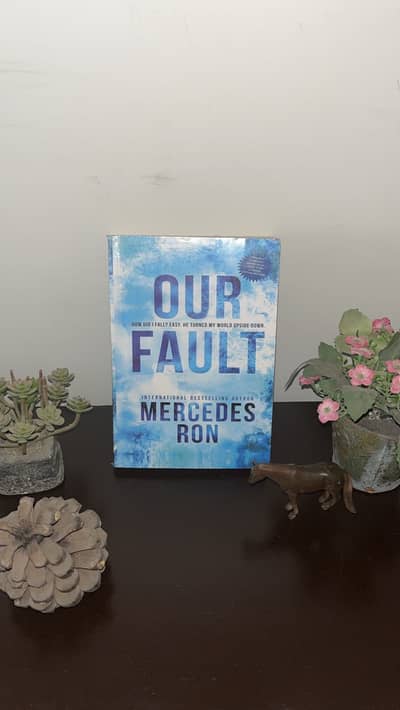 Our fault