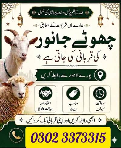 Qurabani Qasai 2026
