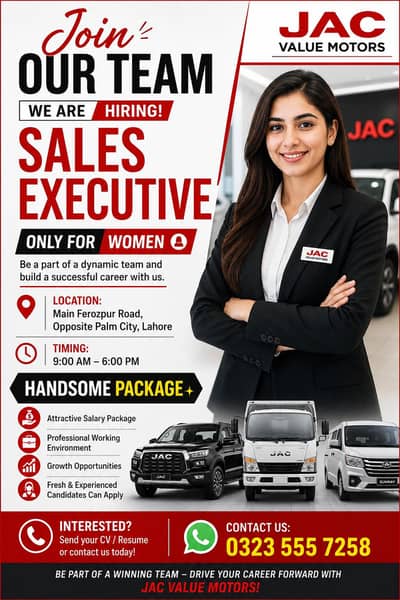 sales Executive job
