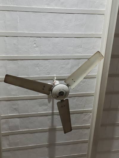Royal Fan For Sale