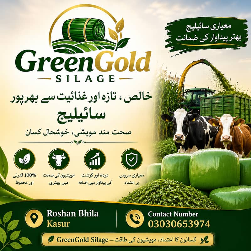 Corn Silage 0