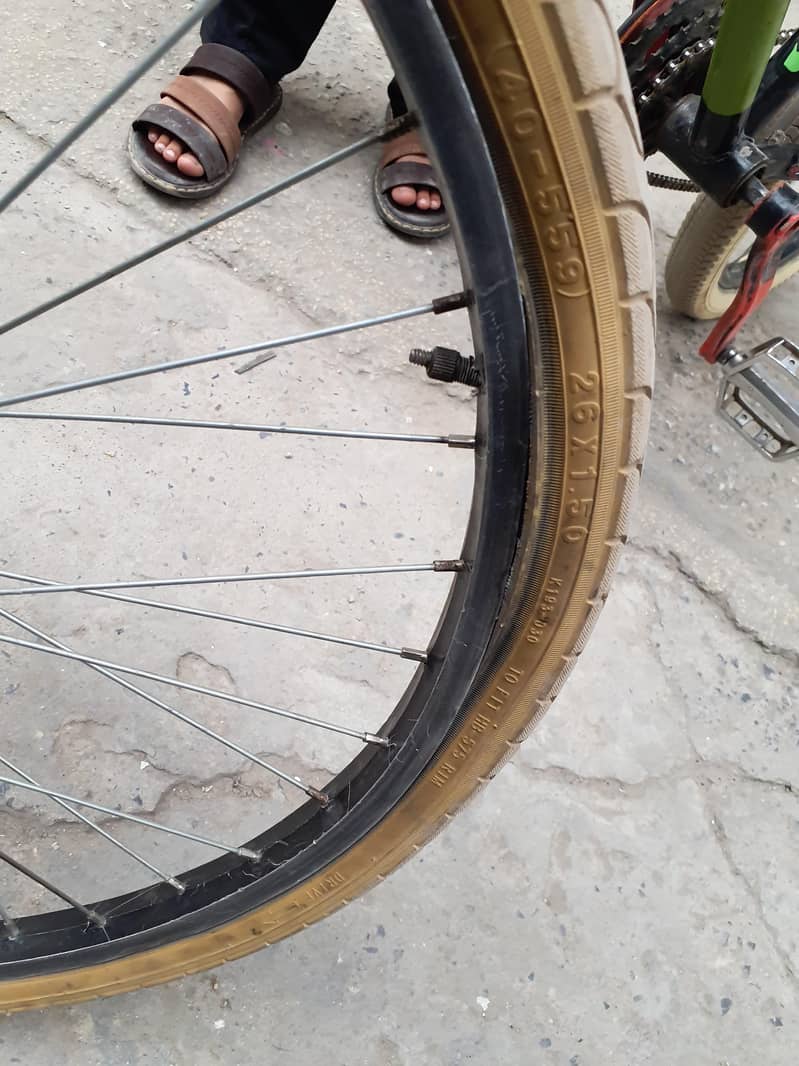 phonex cycle 4