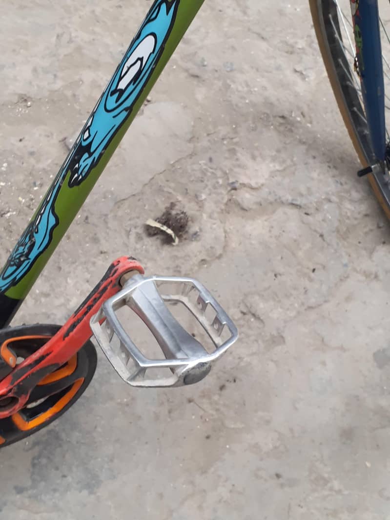 phonex cycle 6