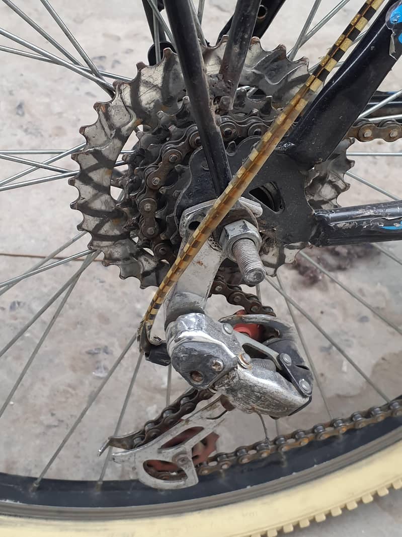 phonex cycle 7