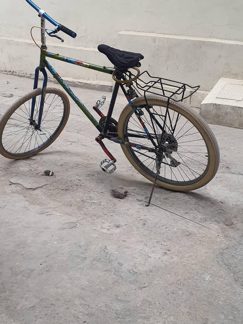phonex cycle 11