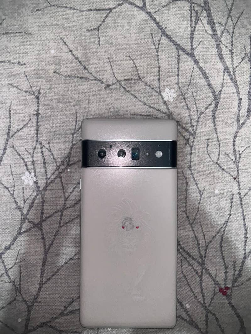 goggle pixel 6pro 0