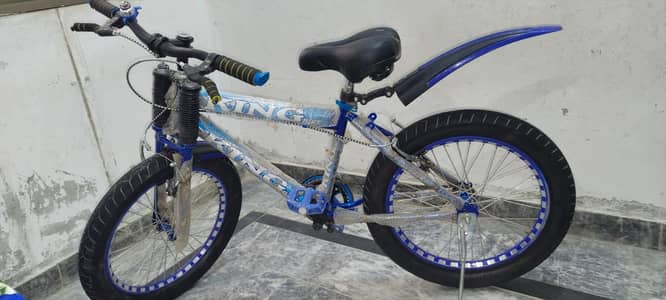 King Bicycle