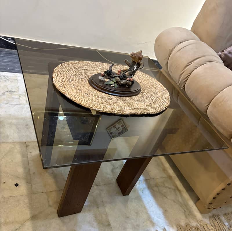 Sofa Set & Table Set 13