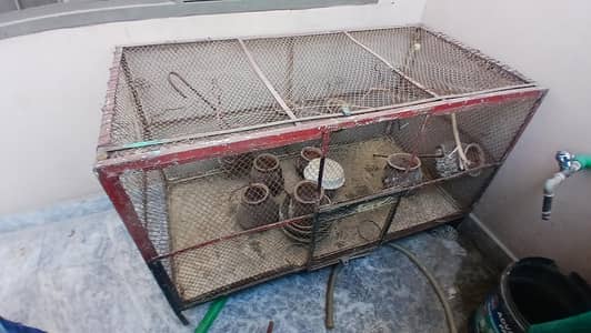 Iron Shade cages| master cages love bird cages