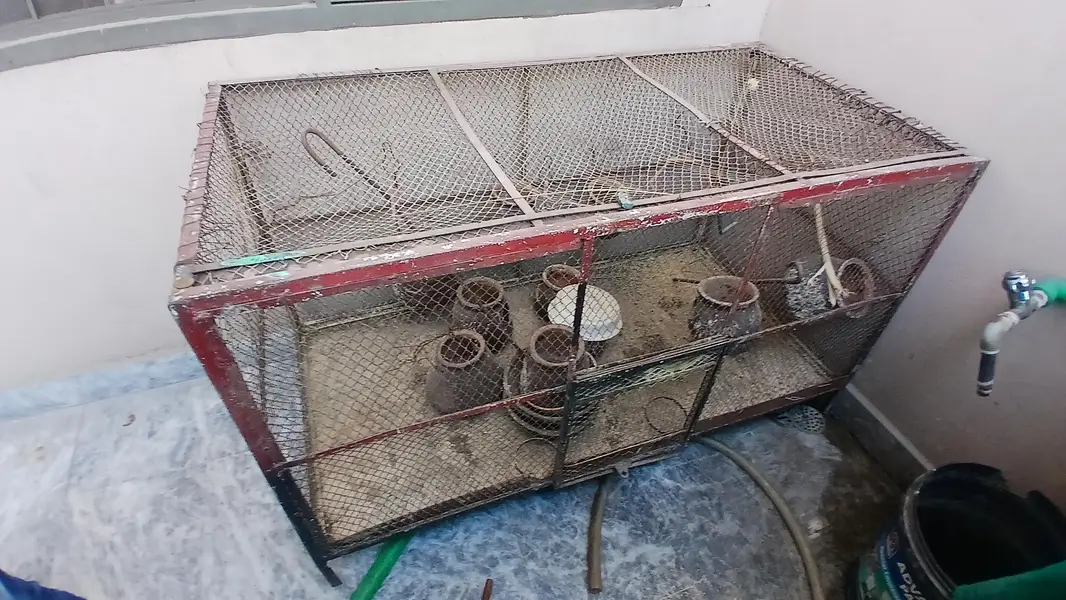 Iron Shade cages| master cages love bird cages