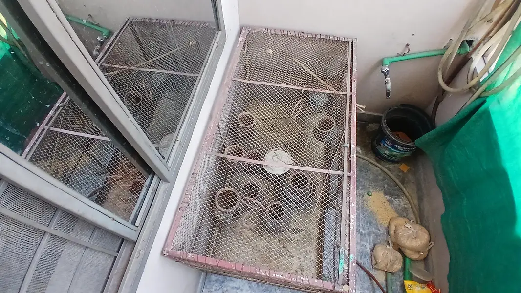 Iron Shade cages| master cages love bird cages — photo 3