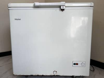 Haier D freezer