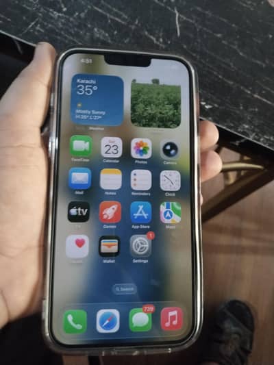 Apple iPhone 13 Pro Max