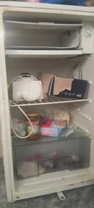 Mini Rome fridge